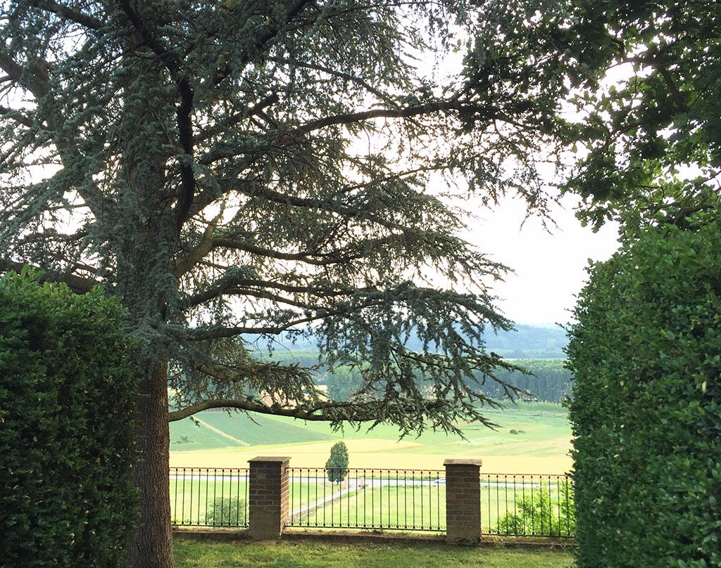 Villa Fiorita