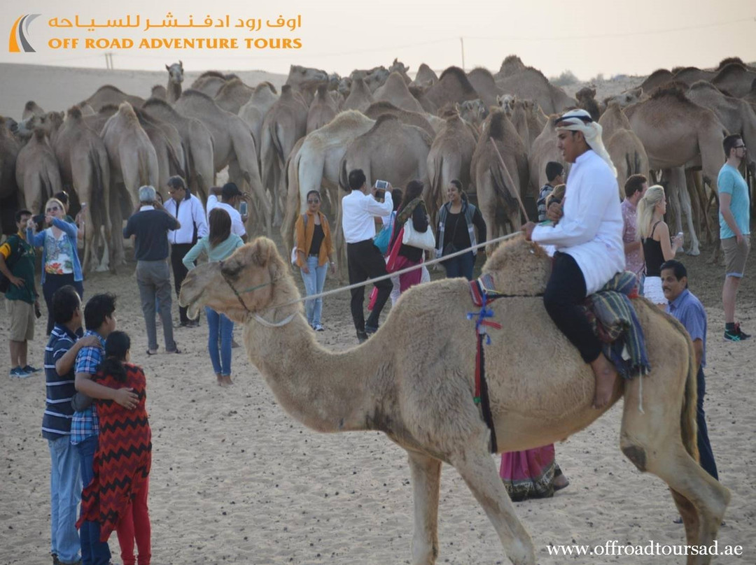Off Road Adventure Tours-阿布扎比必去景点
