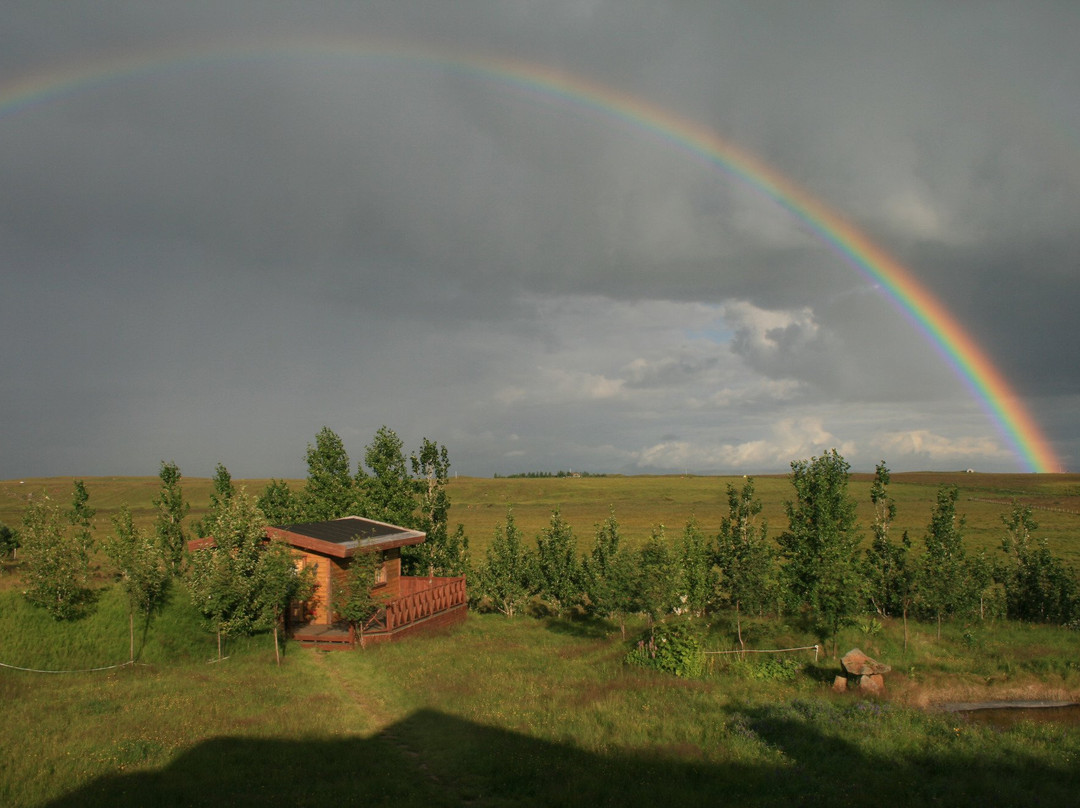 Álfasteinn Guesthouse- Day Tours景点图片