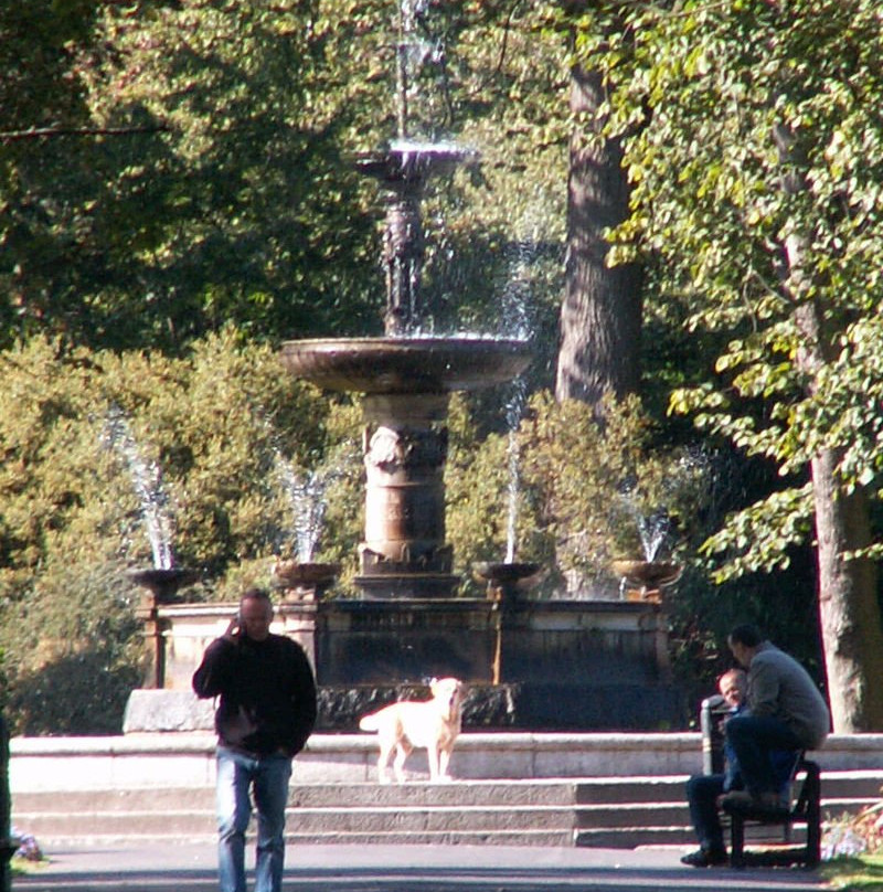 Victoria Park景点图片