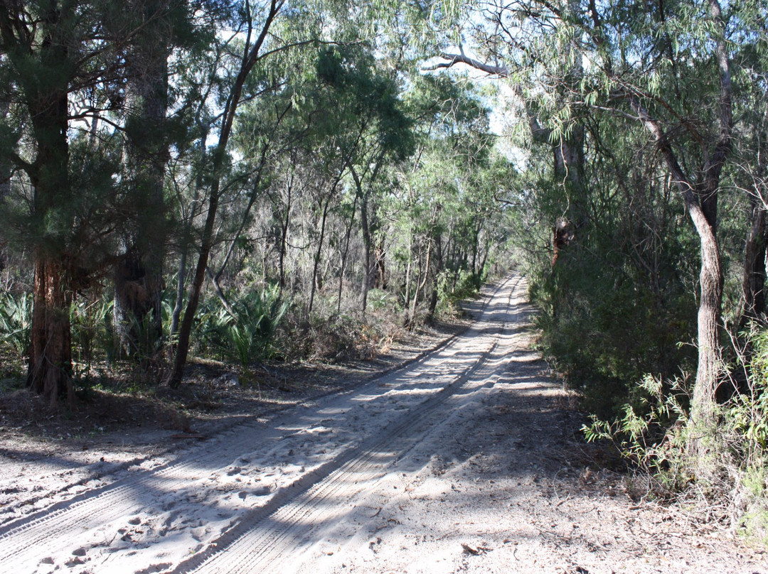 Yeagarup Dunes-彭伯顿必去景点