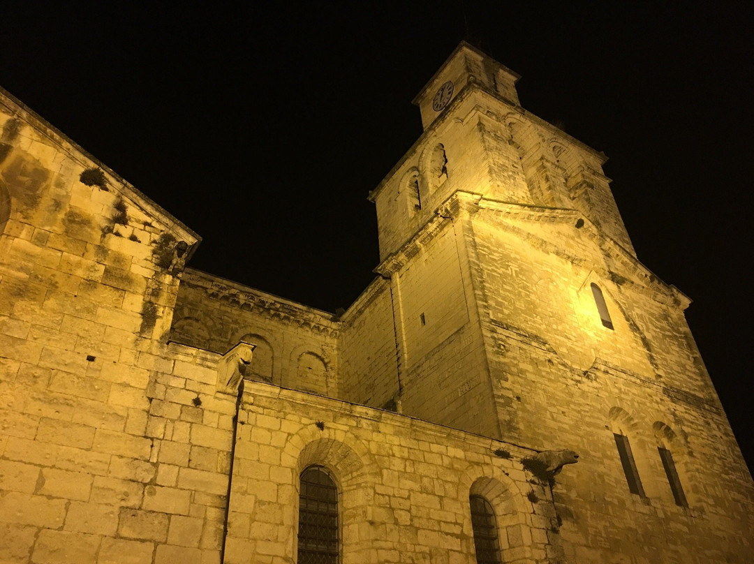 Cathédrale Notre Dame et Saint Paul景点图片
