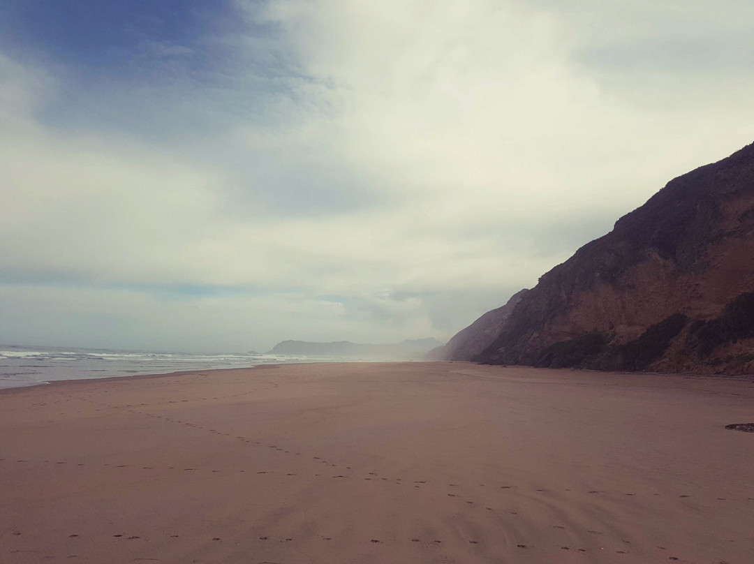 Sedgefield Tourist Information Centre-Sedgefield必去景点