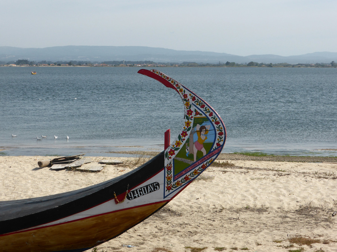 Praia do Monte Branco景点图片