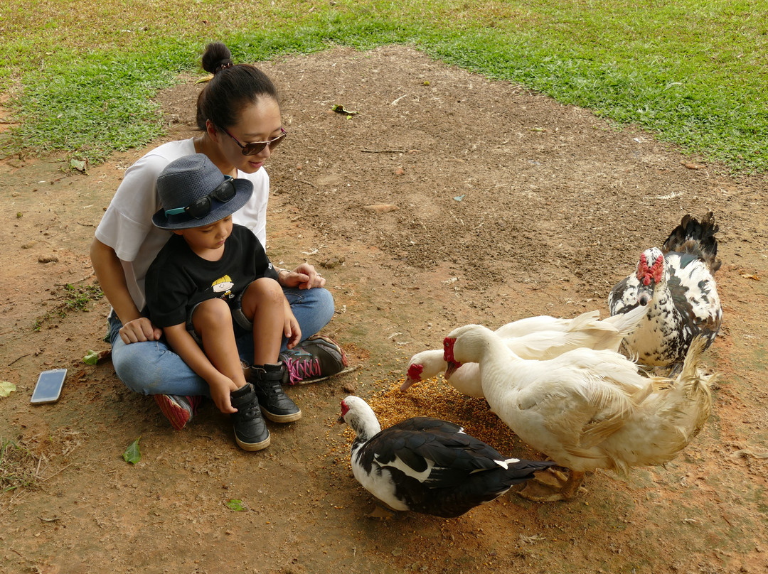 Reinsdown Horse Riding-Tully必去景点