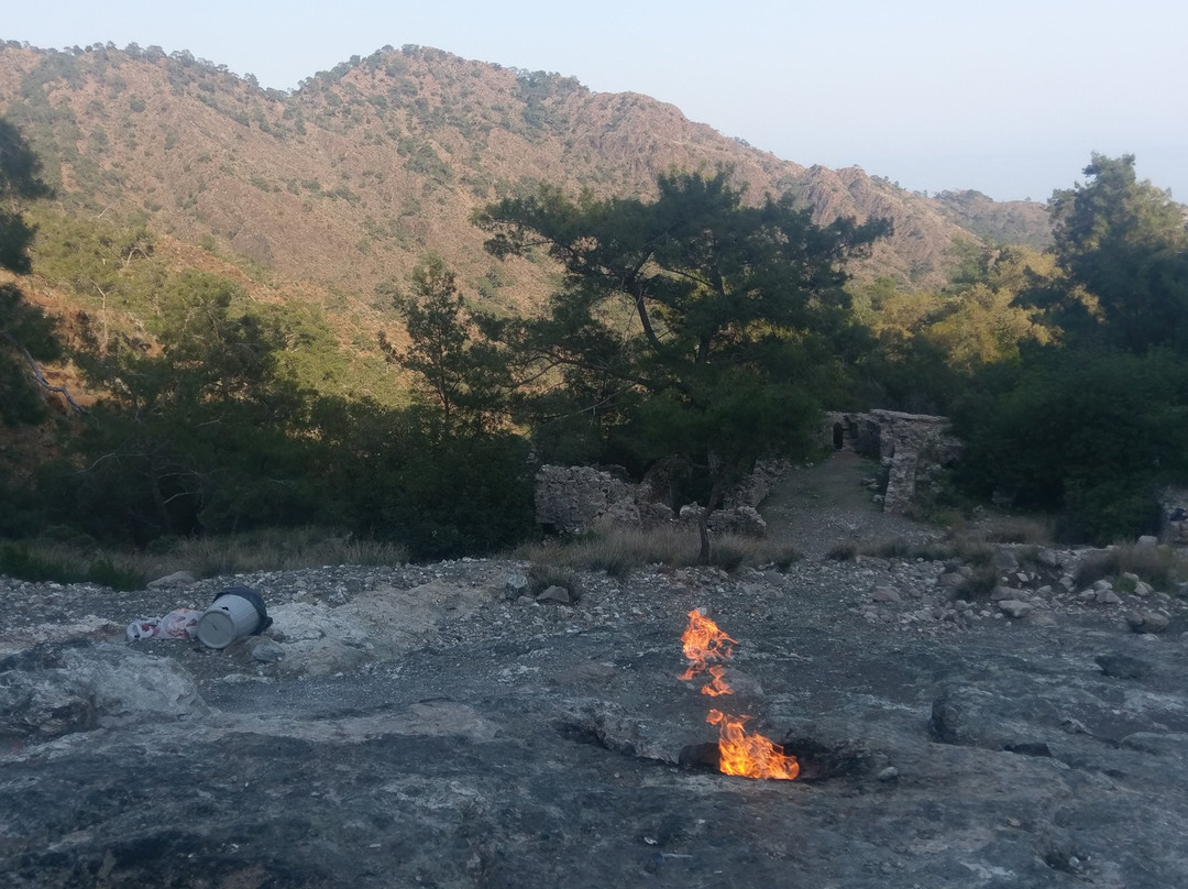 迷迭香旅馆