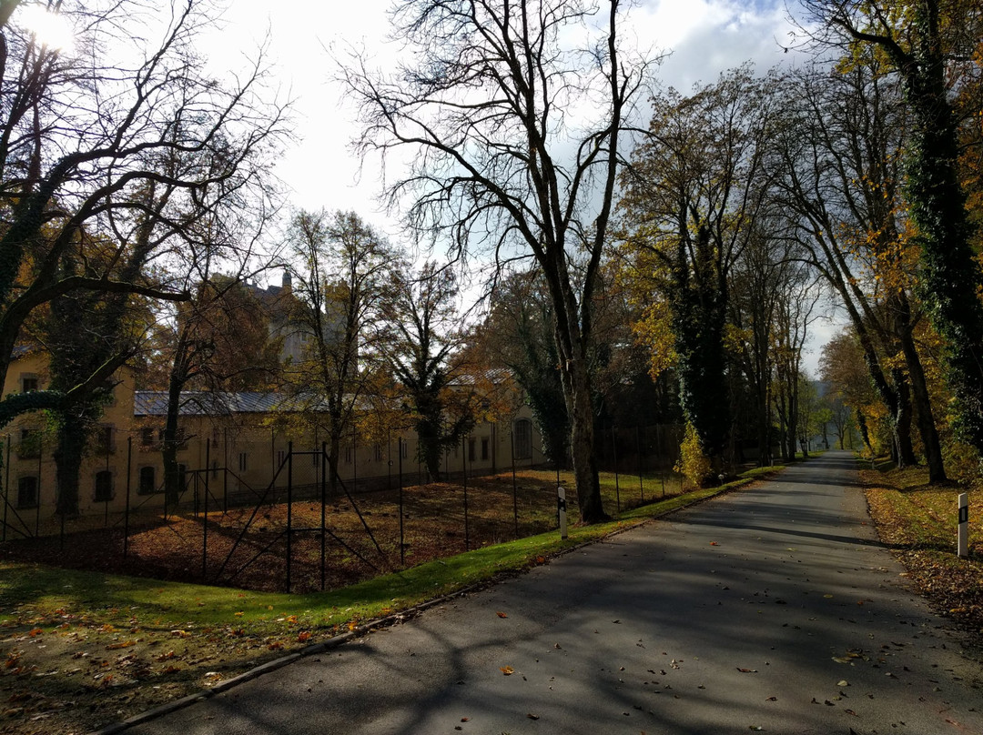 Schloss Taxis (Trugenhofen)-Dischingen必去景点