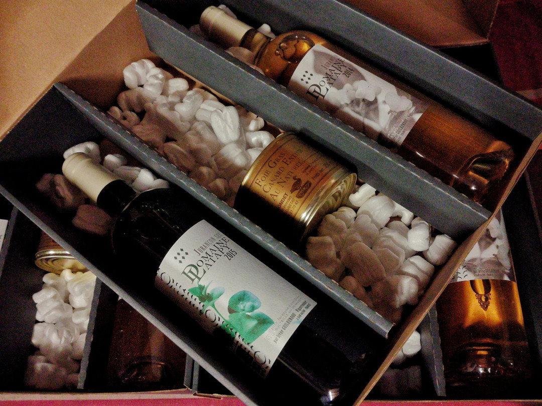 Domaine Latapy景点图片