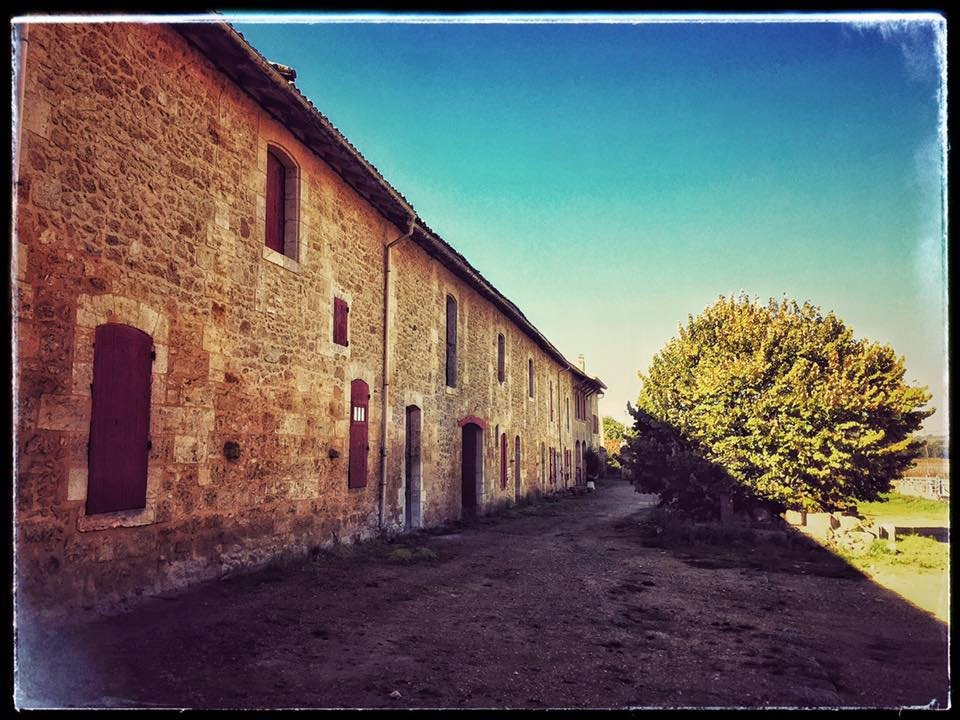 Chateau du Grand Puch景点图片