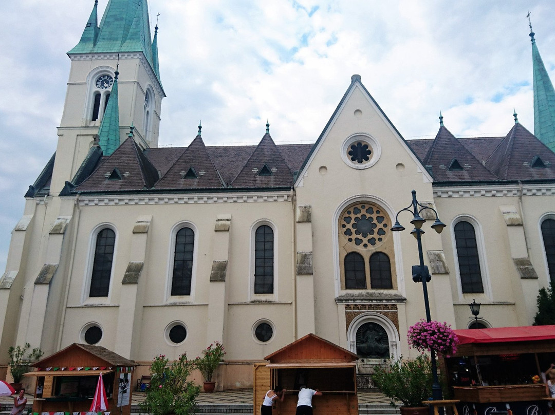 Kaposvar Plaza景点图片