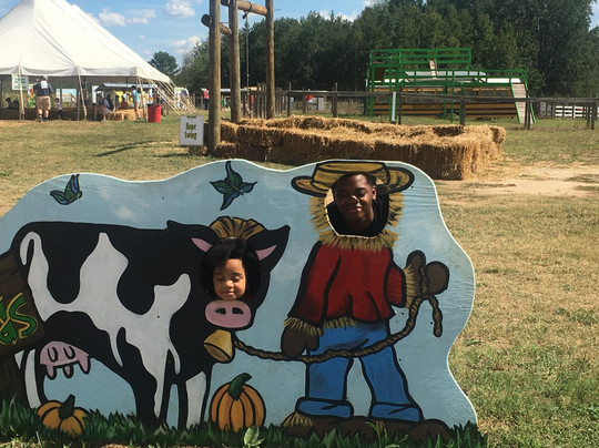 Corn Dawgs Corn Maze-Loganville必去景点