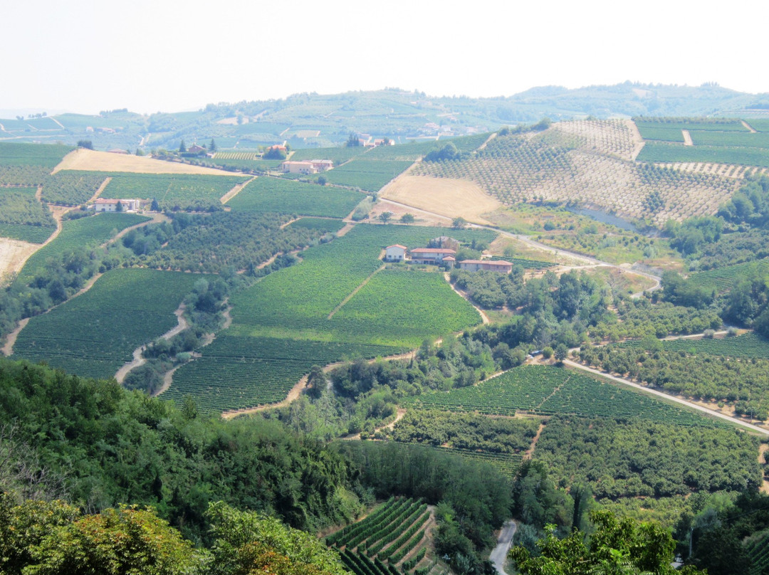 Enoteca del Moscato di Mango景点图片