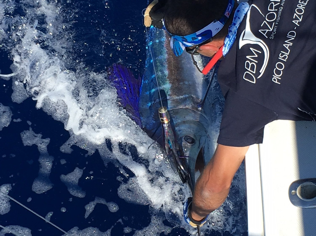 DBM Azores - Sport Fishing Charters