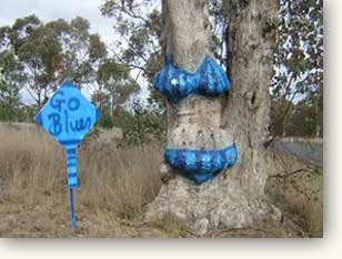 The Bikini Tree景点图片