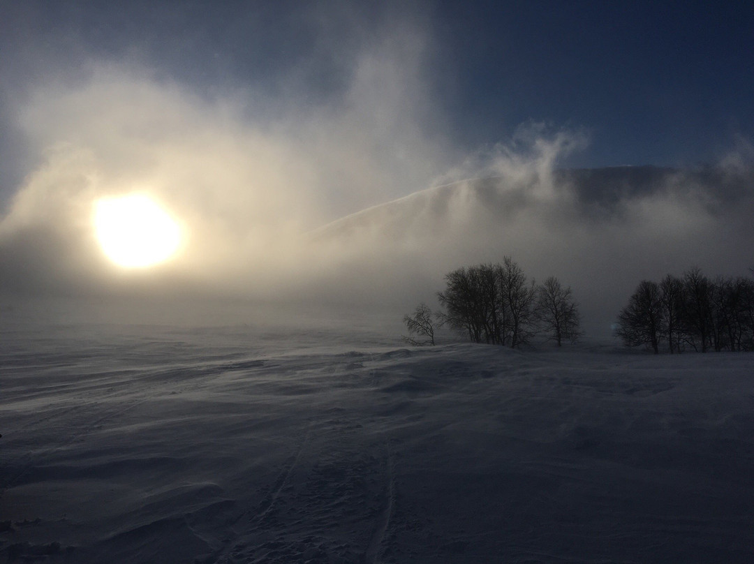 Dyatlov Pass/ Pereval-Ivdel必去景点