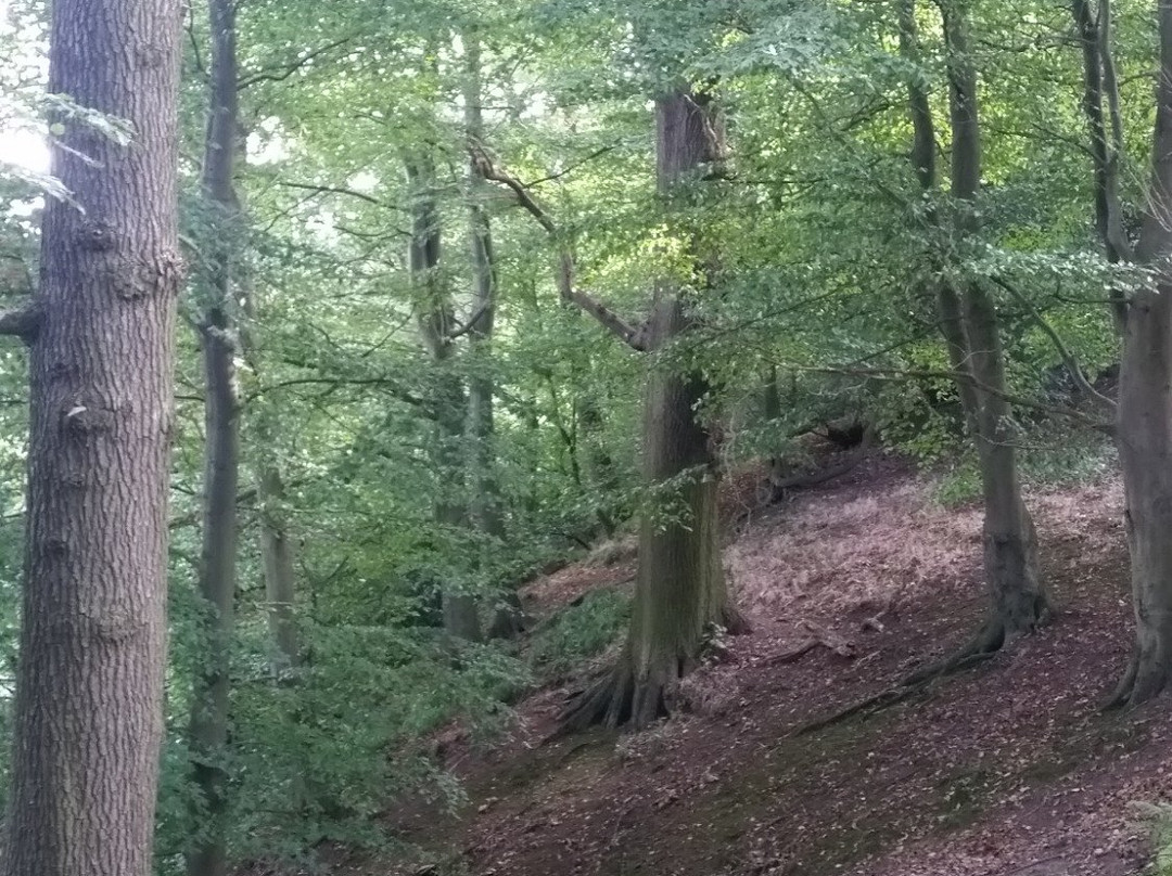 The Hermitage-Dale Abbey必去景点
