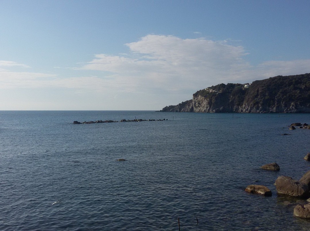 Stabilimento Balneare Blumar景点图片