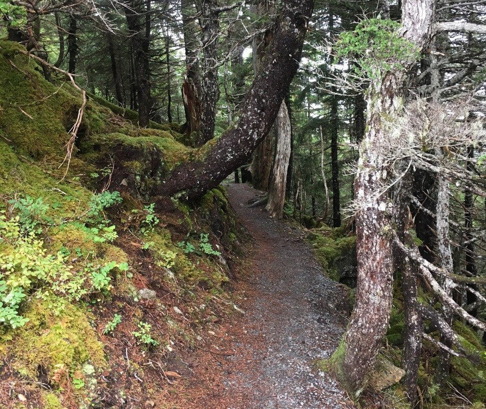 Harbor Mountain Trail景点图片