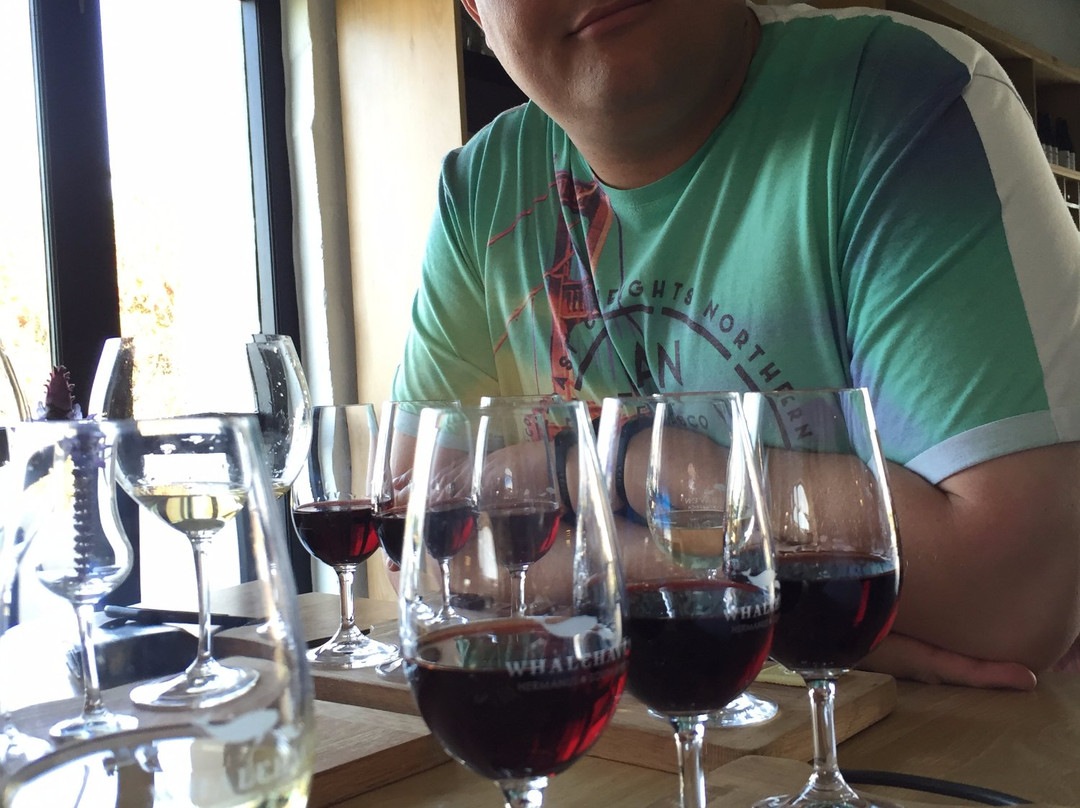 Whalehaven Winery-赫曼努斯必去景点