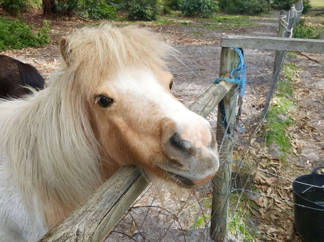 The Old Marron Farm-奥尔巴尼必去景点