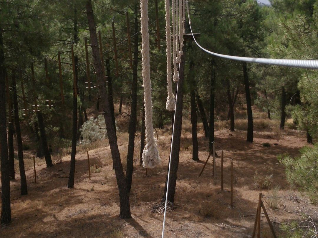 Aventura Amazonia-Viznar必去景点