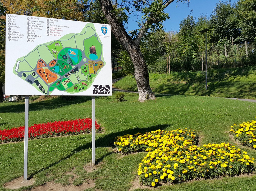 Zoo Brasov景点图片