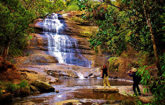 Bogota Henry Tours-波哥大必去景点