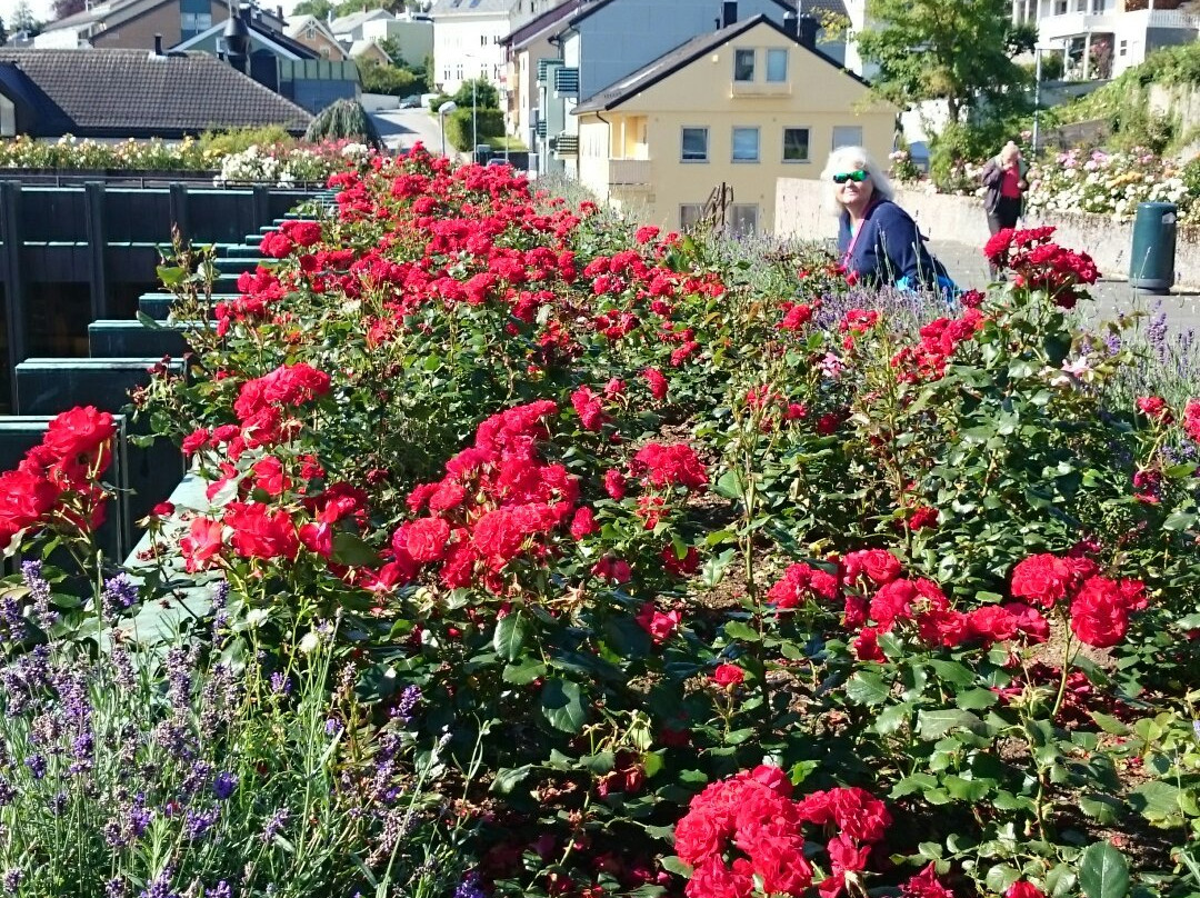 The Rose Maiden Molde Town Hall景点图片