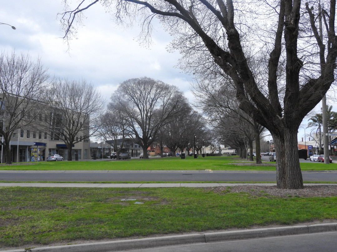 Kay Street Garden-特拉拉尔根必去景点