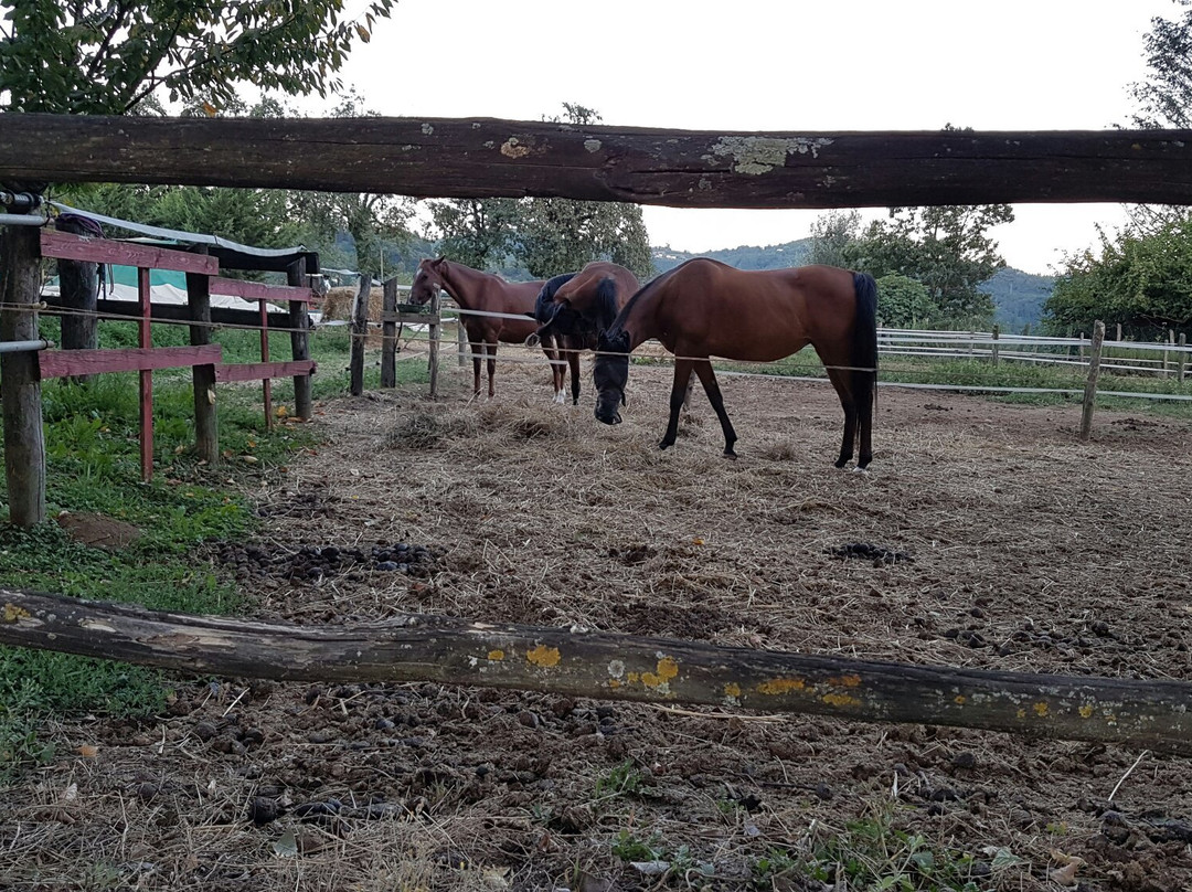 Agriturismo Venturo主图