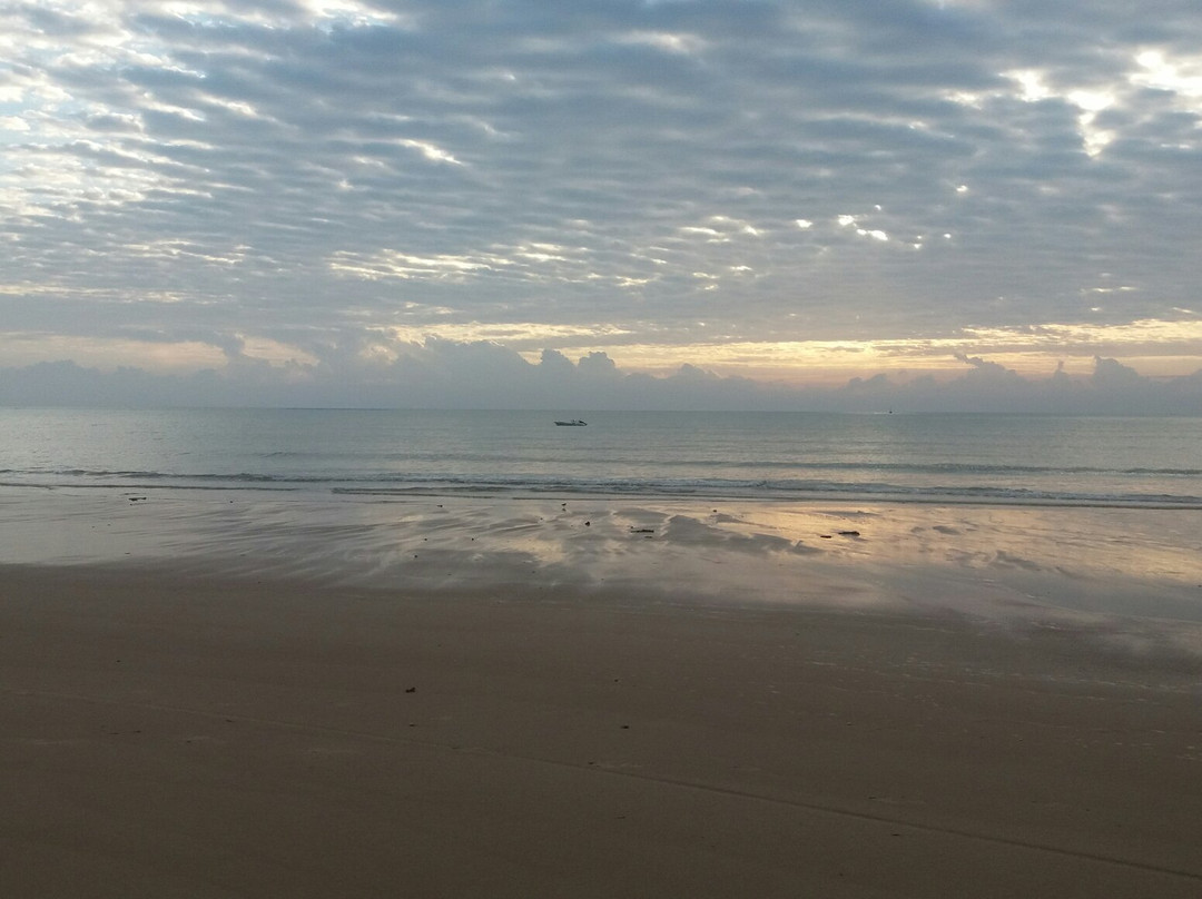 Pier Beach-Cumuruxatiba必去景点