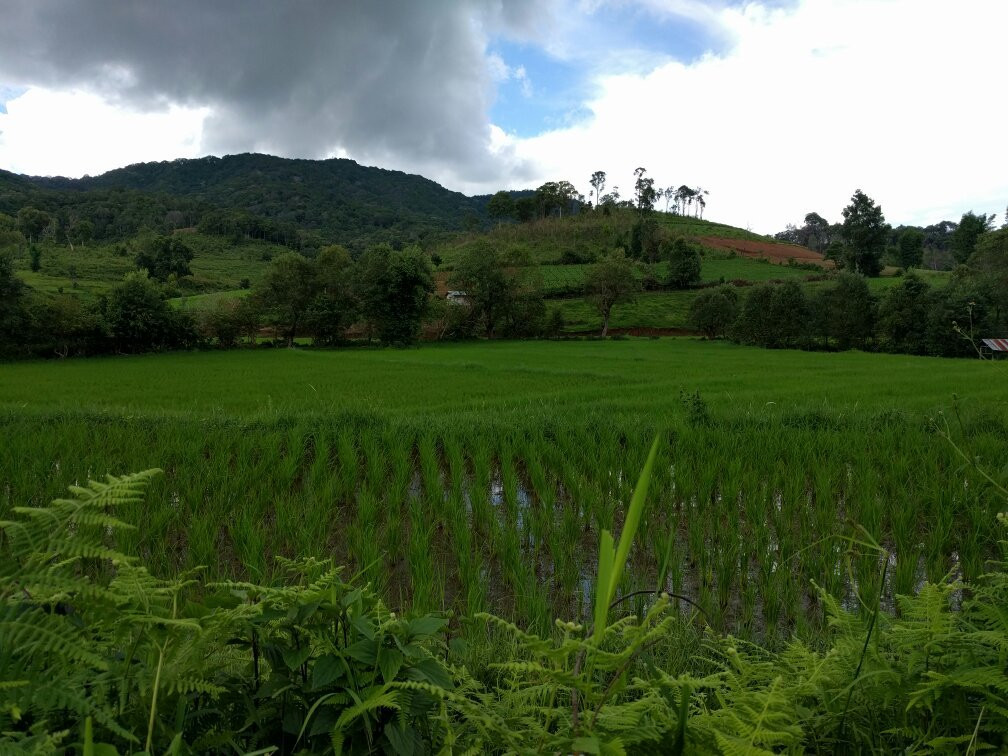 Thai Eco Trek Adventure-清迈必去景点