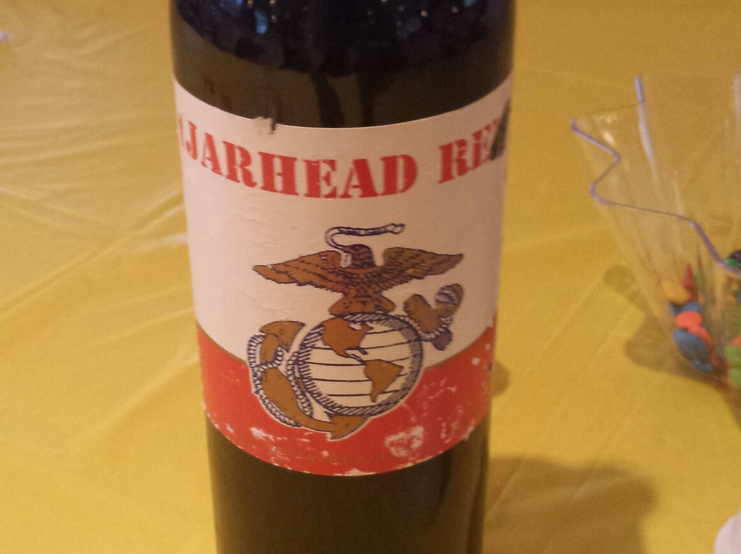 Mountain Springs Motel主图