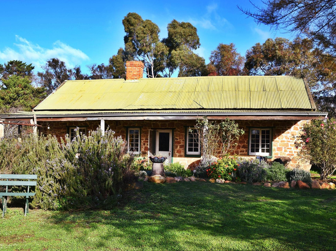 Williams River Farmstay