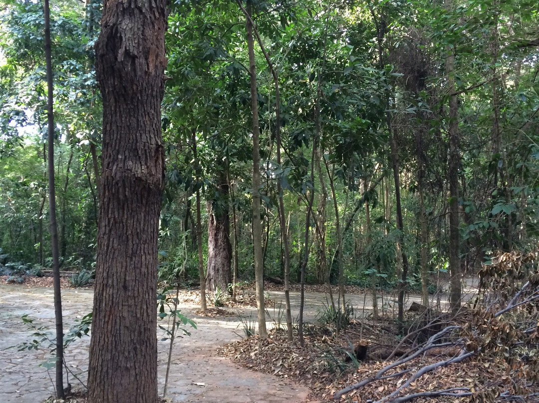 Bosque dos Italianos-坎皮纳斯必去景点