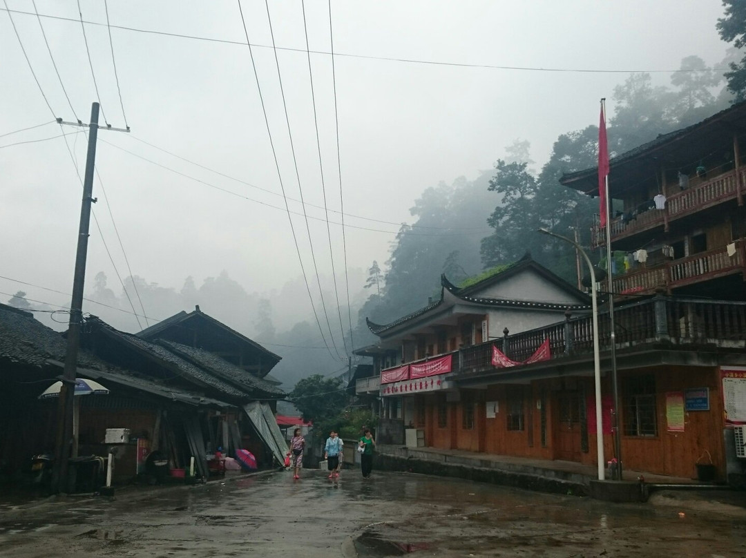 小溪保护区景点图片