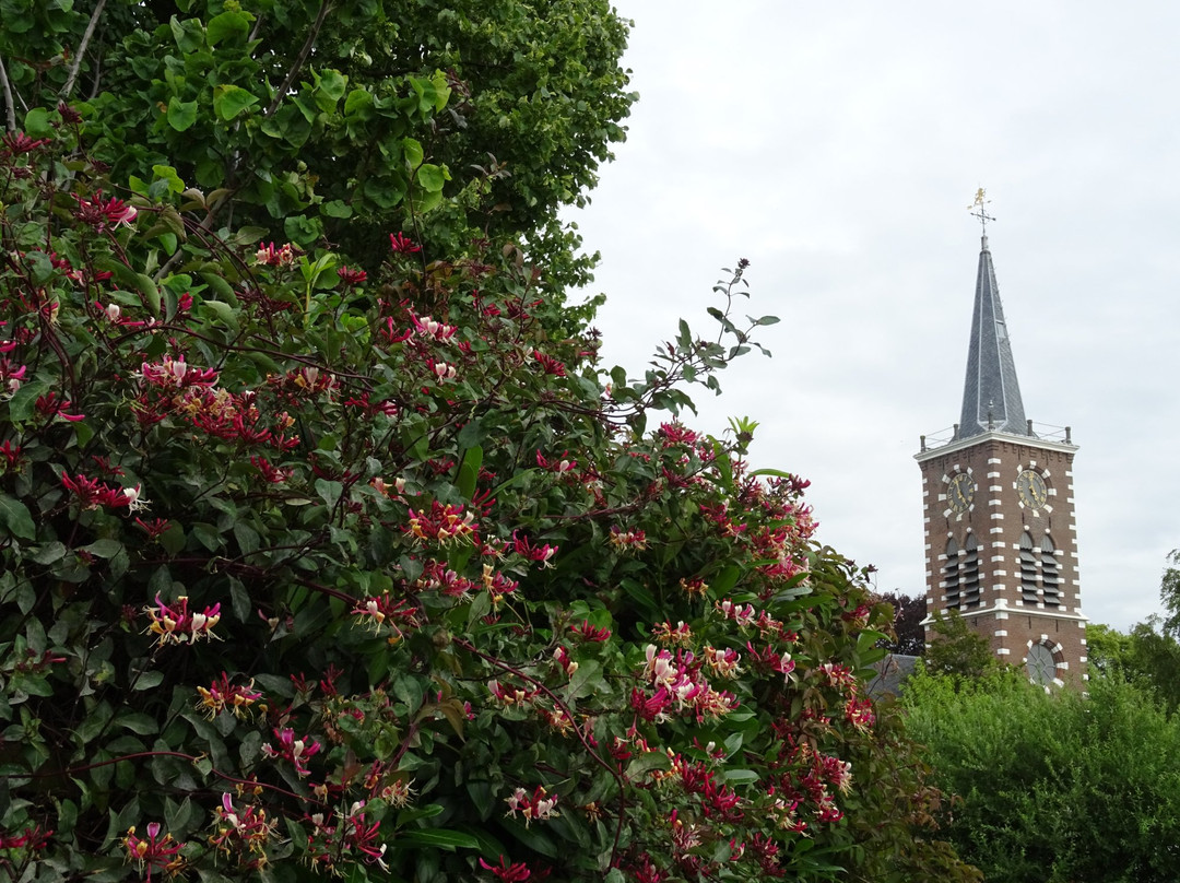Dorpskerk Aalsmeer景点图片