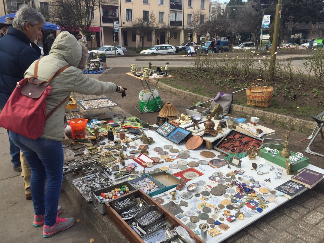 Plaza Peru-康塞普西翁必去景点