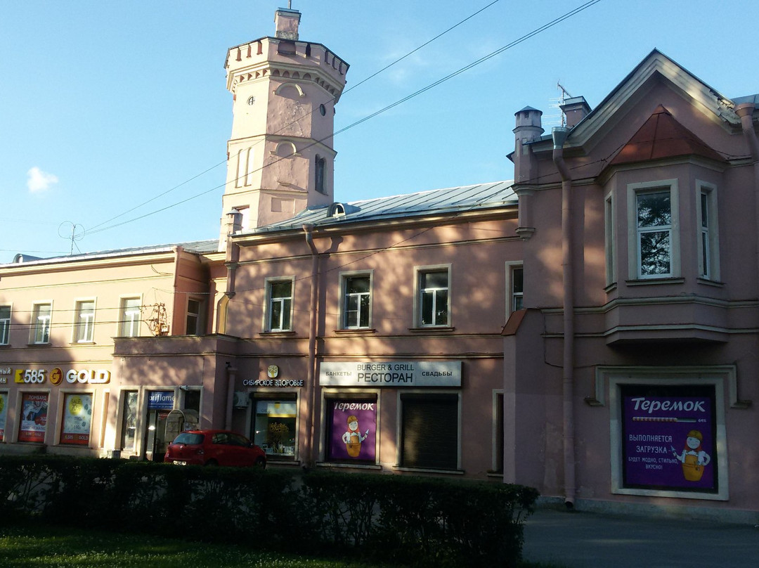 House of Vsevolozhskiy景点图片