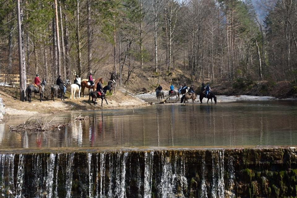 Horse Club Lesce景点图片