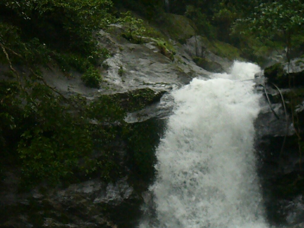 Meenvallam Water Falls景点图片