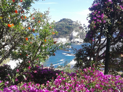 Ischia Arte&Cultura-Isola d'Ischia必去景点