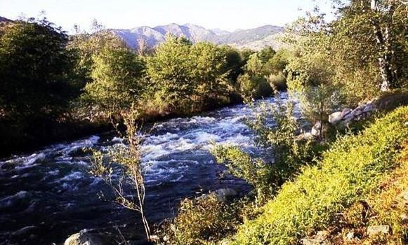 River View Grill & Bar