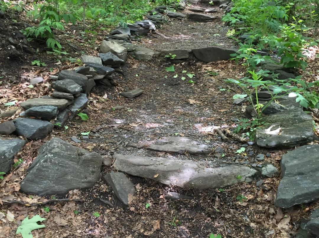 Elk Knob State Park景点图片