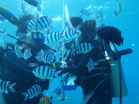 Island Breeze, Busena Resort-名护市必去景点