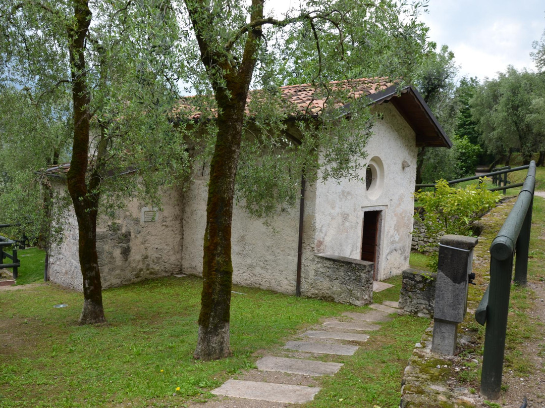 Chiesa di San Pietro in Oliveto景点图片