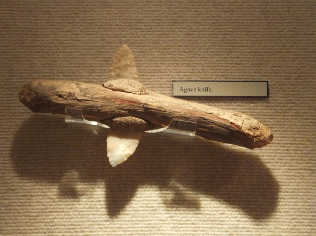 Lost City Museum-欧弗顿必去景点