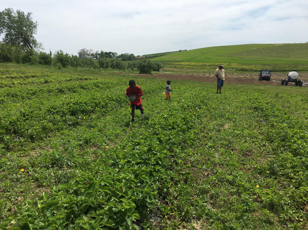 Ditmars Orchard-康瑟尔布拉夫斯必去景点