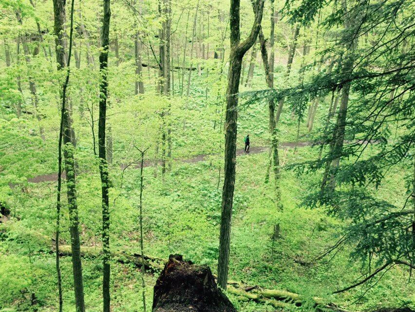 Wooster Memorial Park-Wooster必去景点