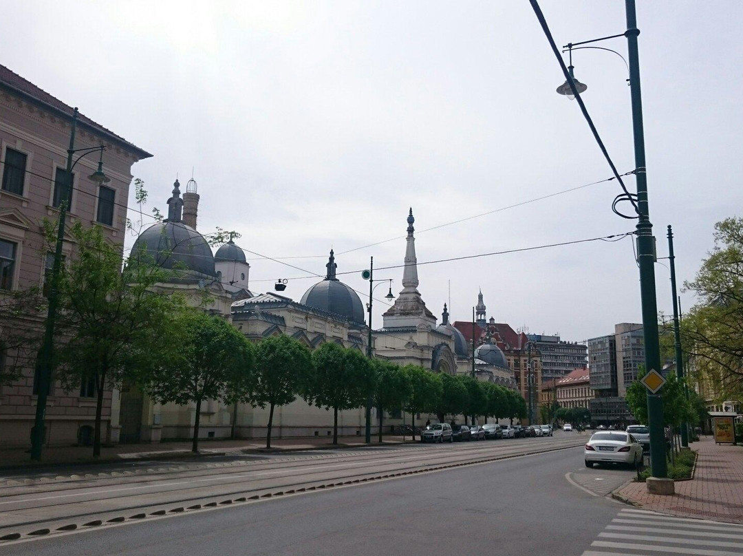 Anna Thermal Bath-塞格德必去景点
